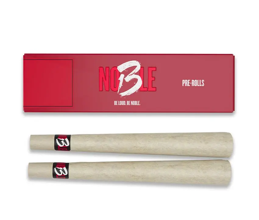 2 PACK PRE-ROLLS - BASIC SKUNK - 2 g