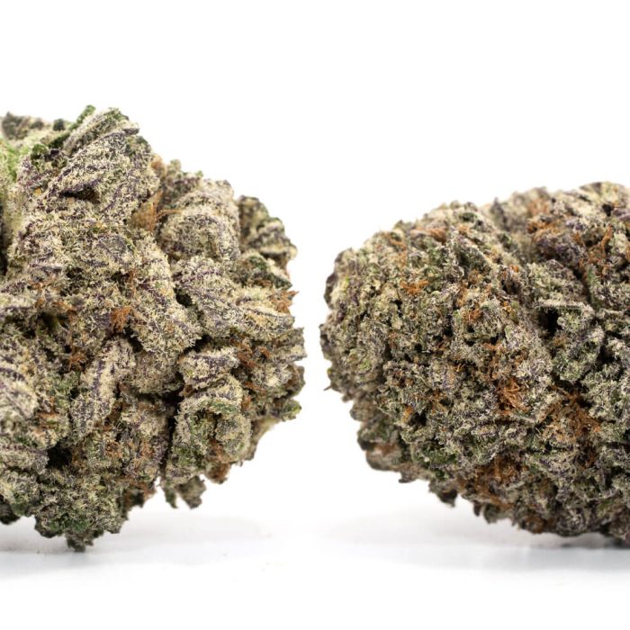 Blackwater Strain - Image 2