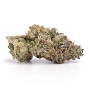 Blueberry Cheesecake