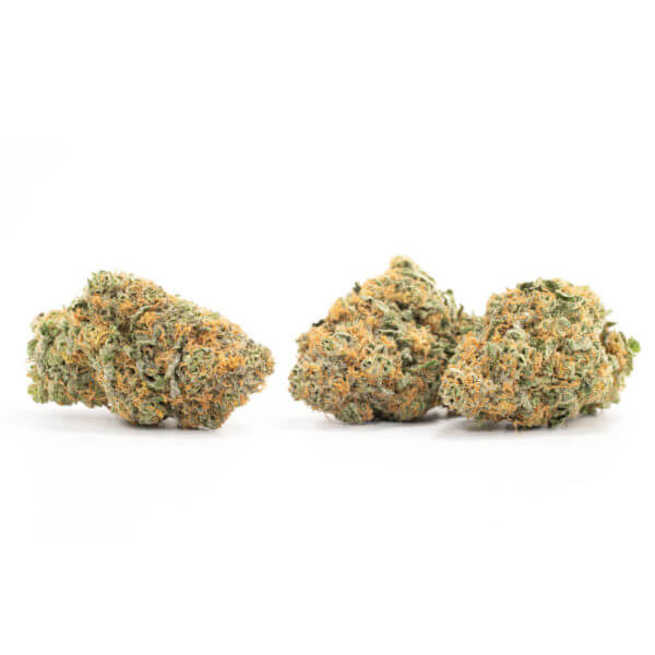 California Orange Strain - Image 2