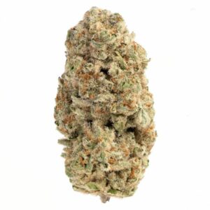 Crescendo Strain